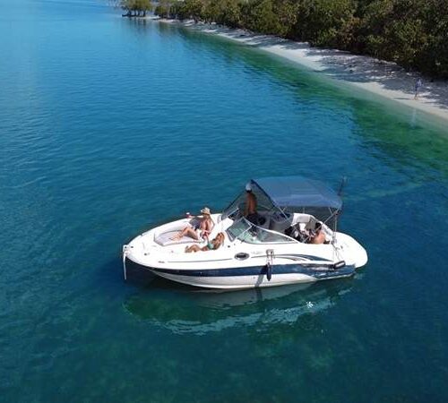 26-searay-sundeck-full-size-picture