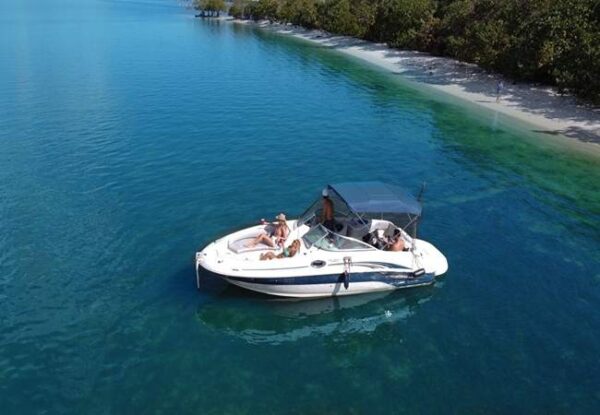 26-searay-sundeck-full-size-picture